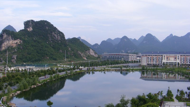 N4007二极管选购指南：如何挑选合适的型号与供应商**