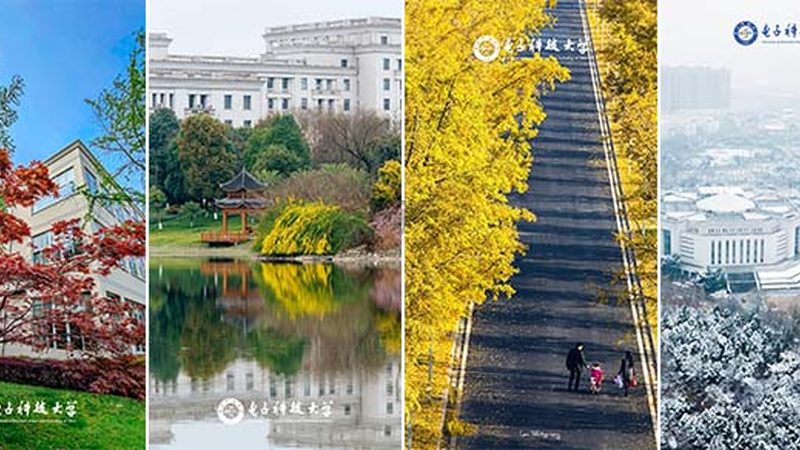 电子科技公司加盟售后服务：保障与选择指南