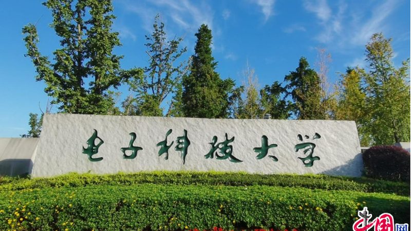 国产电子元器件崛起：替代进口，价格对比解析