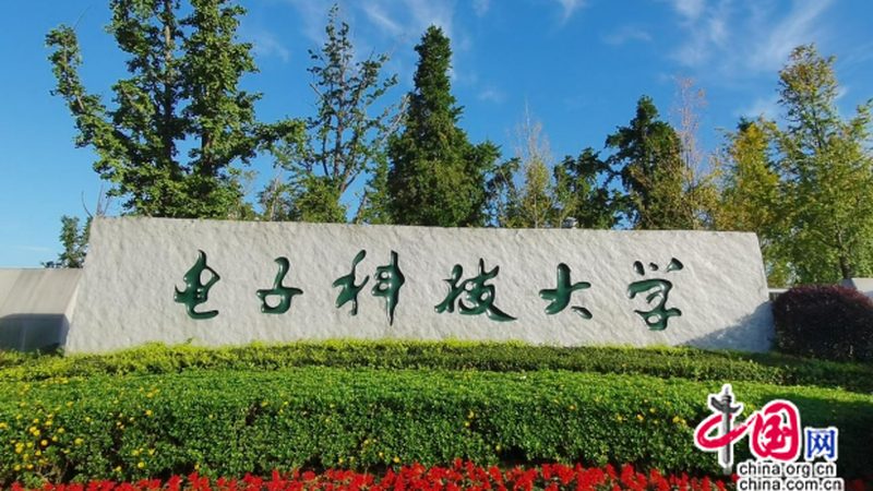 连接器材质揭秘：材质选择背后的关键因素**
